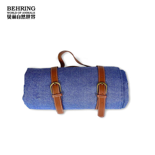 Meng狮野餐垫 商品图3