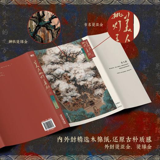 【磨铁图书】美人挑灯看剑.上  吾九殿著 商品图3