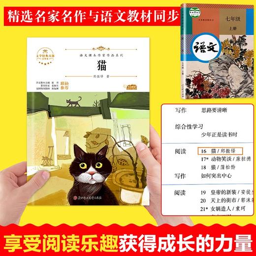 语文课本作家作品系列 《猫》 非塑封 商品图2