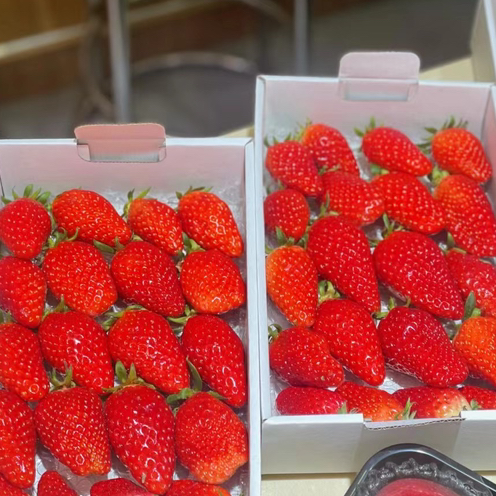 奉贤本地嫜姬奶油草莓