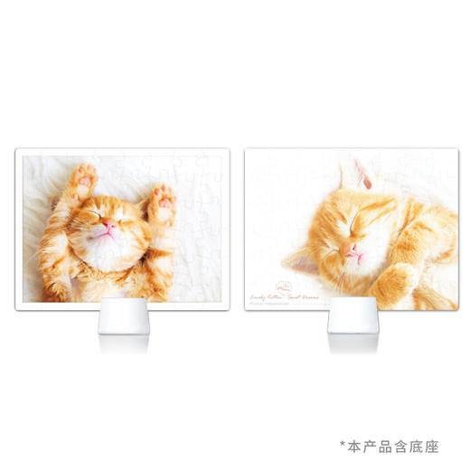 【折扣商品 不退不换】48片 双面拼图 HF1005 毛孩日記-貓咪的午睡時光 商品图1