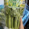 云南高原水果芹菜【360克】 商品缩略图7