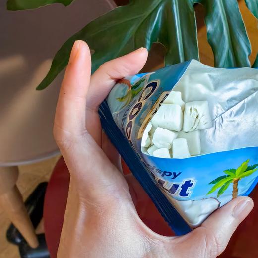 [屁侠推荐]昌茂 香烤椰子脆块 新鲜椰肉粒非油炸 海南特产 商品图0