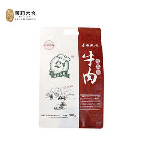 艾尼大叔草原风味牛肉300g   线上