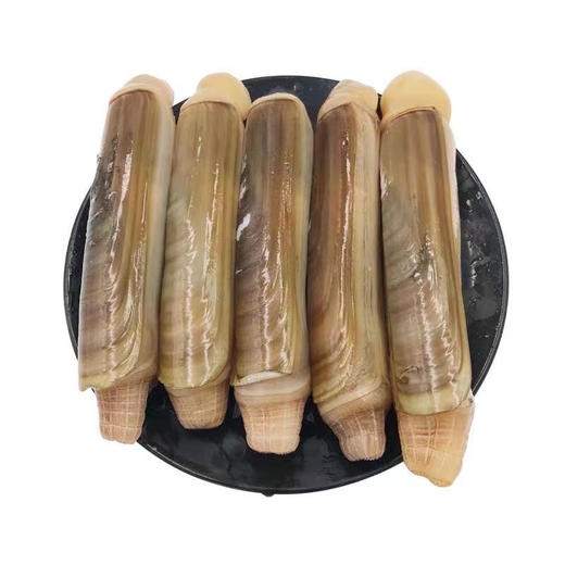 鲜活竹节蛏，现在最肥，部分带籽，一份2斤 商品图0