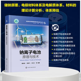 钠离子电池：原理与技术--先进电化学能源存储与转化技术丛书