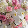 《春之梦境》蝴蝶兰粉雪山玫瑰粉白色系大号抱抱桶 商品缩略图5