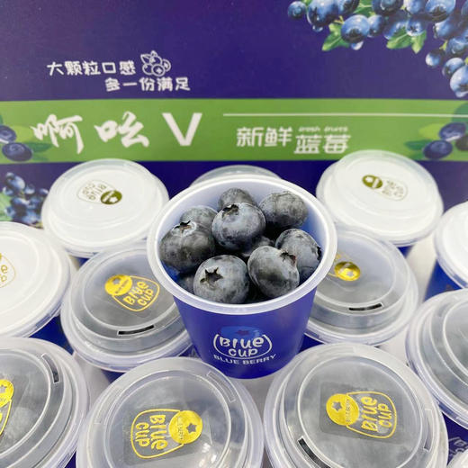 云南玫瑰花香味大蓝莓（60g*8） 商品图1