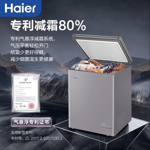 海尔（Haier）冷柜 BC/BD-142GHEPC 商品图8