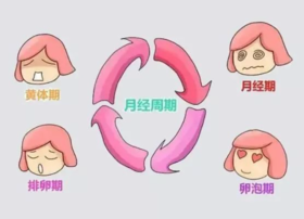  多囊—月经紊乱，最怕的竟是肌醇？