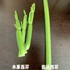 云南高原水果芹菜【360克】 商品缩略图4