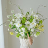 《春之舞》白绿色郁金香锦鲤洋牡丹花束 商品缩略图1