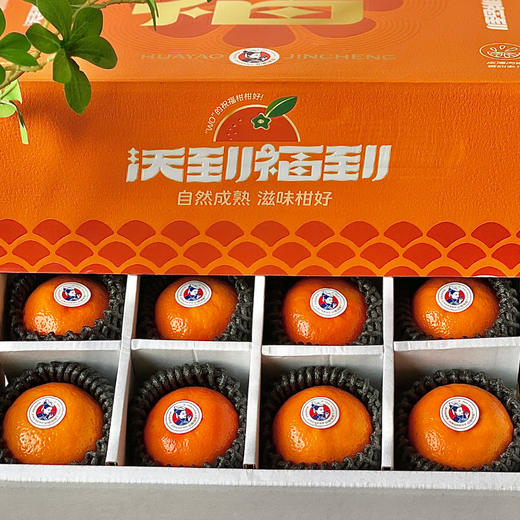 云南高原沃柑（80#-24枚装） 商品图1