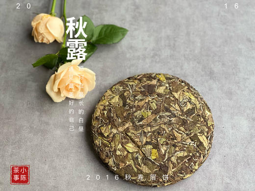 【珍藏级8年陈老白茶】2016深秋寿眉饼《秋露》，软、糯、汁液横流，诸香齐聚，尽显老白茶之岁月风华 商品图1