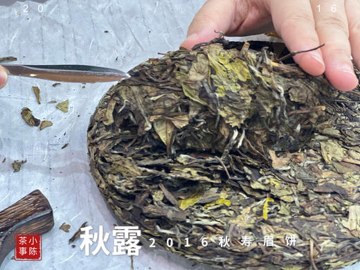 【珍藏级8年陈老白茶】2016深秋寿眉饼《秋露》，软、糯、汁液横流，诸香齐聚，尽显老白茶之岁月风华 商品图4