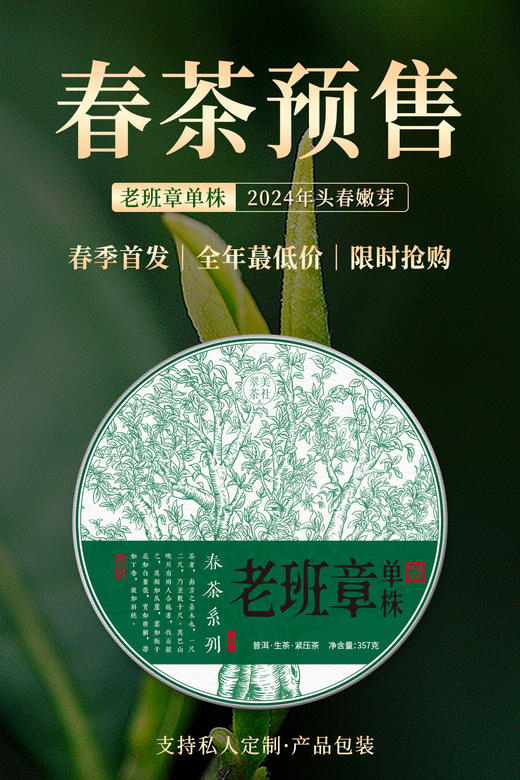 2024【单株-老班章头春】仅10棵 商品图0