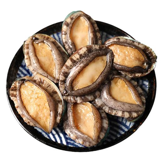 沣运原汁鲍鱼20头（500g） 商品图0