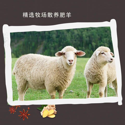 广电优选 内蒙古直发 无汤羊杂 真空袋装 熟食速食 煮羊杂汤 凉拌羊杂 250g/袋 商品图4