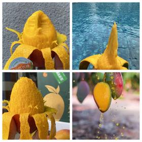海南树熟山丘贵妃芒4斤芒果