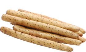 【BF】精品山药/500g