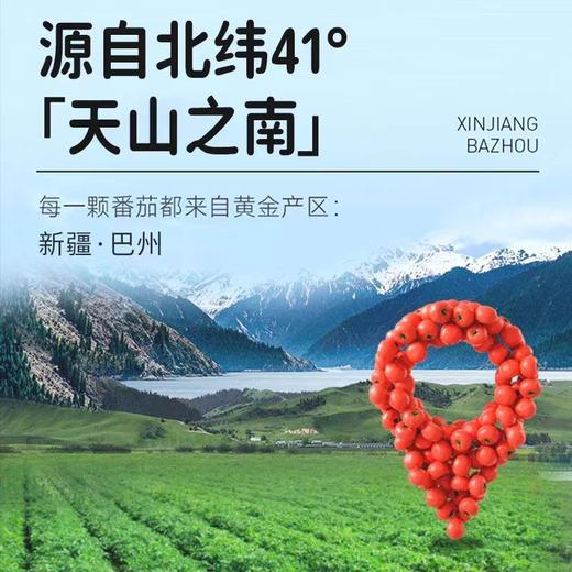 冠农番茄碎20袋家庭装 商品图3