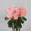 新鲜鲜花  戴安娜玫瑰10支（可备注送货时间） 商品缩略图1