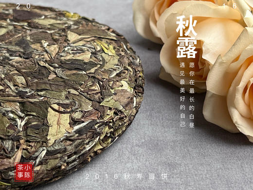 【珍藏级8年陈老白茶】2016深秋寿眉饼《秋露》，软、糯、汁液横流，诸香齐聚，尽显老白茶之岁月风华 商品图3