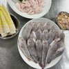 【社区团购】菊黄河豚鱼肉3条 商品缩略图1