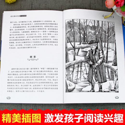 语文课本作家作品系列 《金色的草地》 非塑封 商品图2