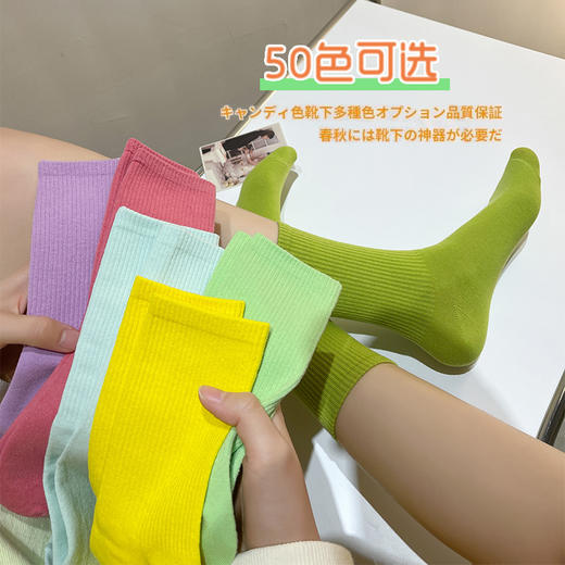 【10双以上价更低】春秋纯棉糖果色百搭五彩袜 商品图2