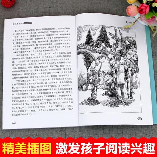 语文课本作家作品系列 背影 非塑封 商品图3