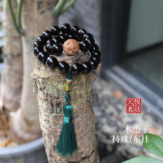 【万相吉祥】百年野生高抛光木患子  吉象菩提根雕   手持原创念珠/车挂   寓意无忧无患 商品图0