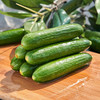 【BF】精品小黄瓜/200g 商品缩略图0