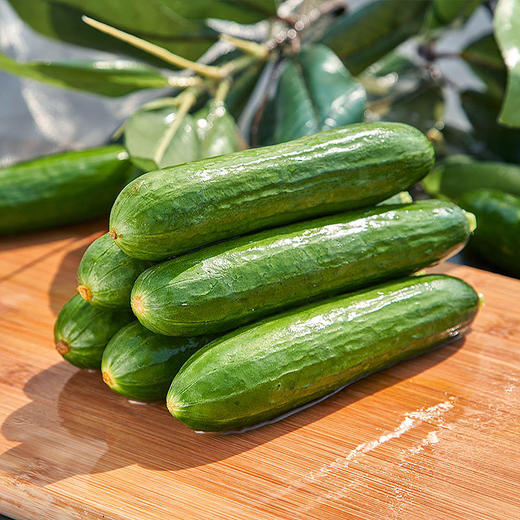 【BF】精品小黄瓜/200g 商品图0