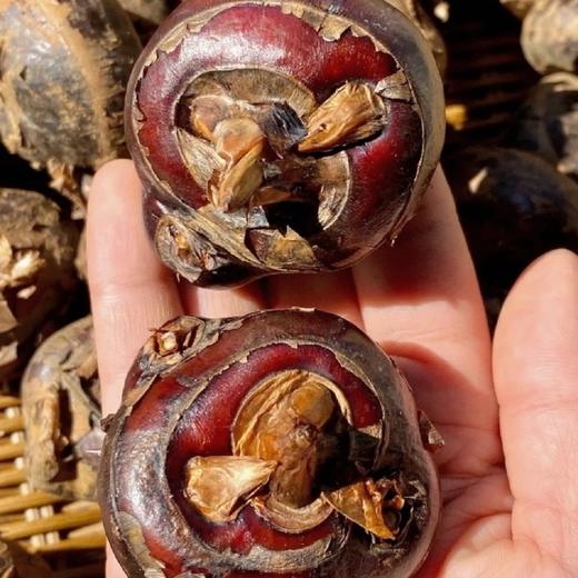 【荔浦马蹄】皮薄肉厚，肉质清脆，细腻无渣，甜嫩多汁贼好吃！而且，新鲜采挖，还带着泥土呢，比超市买的那些新鲜多了！用水一洗，外皮就亮闪闪的，削皮后更是白白净净，看着就让人想咬一口！ 商品图7