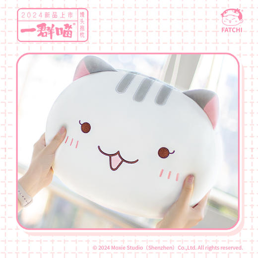 【抱枕全家福】如果历史是一群喵肥志官方周边毛绒靠垫头枕背枕 商品图9