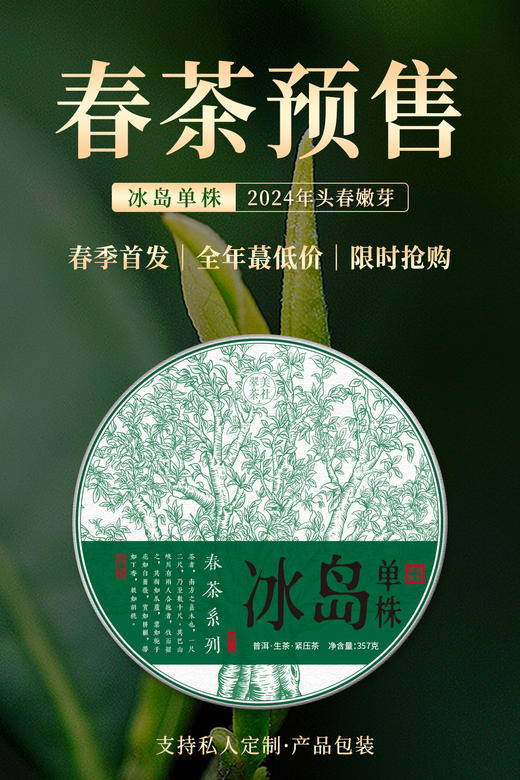 2024【单株-冰岛头春】仅10棵 商品图0