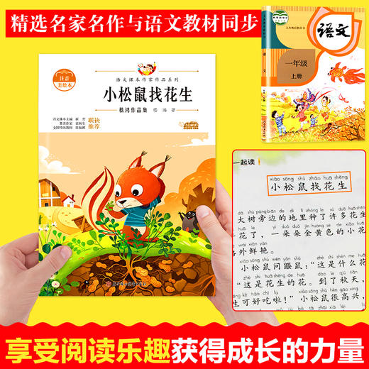 语文课本作家作品系列 小松鼠找花生 非塑封 商品图2