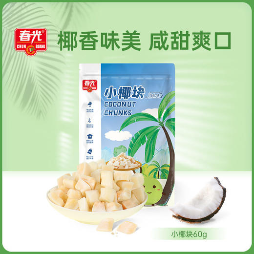 椰肉脆块60g（海盐味）  新鲜椰子烤干 小椰块  商品图0