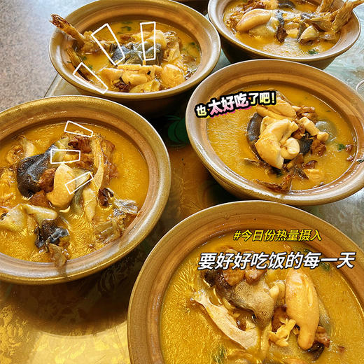 【社区团购】菊黄河豚鱼肉3条 商品图3