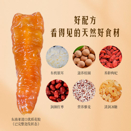 滋时元气四珍花胶粥健康速食早餐粥宵夜即食营养品F 商品图5