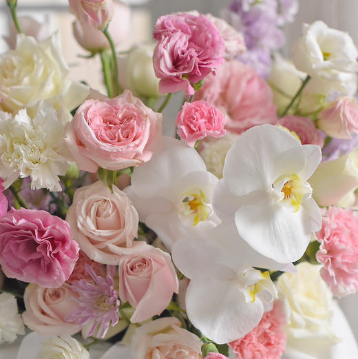 《春之梦境》蝴蝶兰粉雪山玫瑰粉白色系大号抱抱桶 商品图1