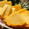 海南金钻凤梨 单果1.2-2斤以上 当季新鲜海南热带水果手撕菠萝 商品缩略图1