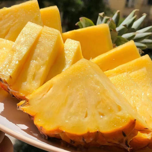 海南金钻凤梨 单果1.2-2斤以上 当季新鲜海南热带水果手撕菠萝 商品图1