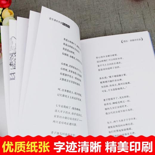 语文课本作家作品系列 《搭石》 非塑封 商品图6