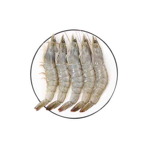 皇冠厄瓜多尔白虾1.8kg(20-30) 商品图3