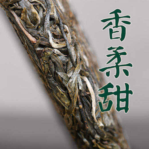 2024春茶-吉顺号私家茶园 困鹿山古树普洱茶春茶生饼357克/饼（买7送1） 商品图1