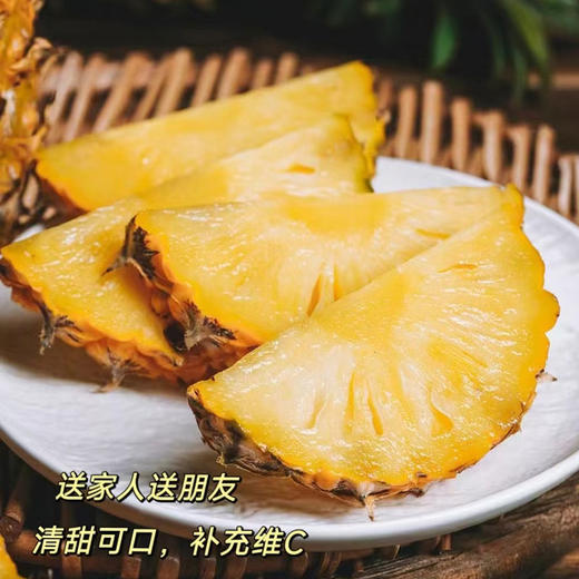 海南金钻凤梨 单果1.2-2斤以上 当季新鲜海南热带水果手撕菠萝 商品图4