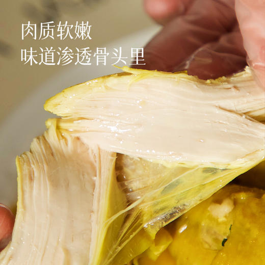 【五指毛桃鸡】广东特色美食  正宗三黄鸡制作  五指毛桃药食同源 开袋即食 800g/袋  整只鸡 商品图1