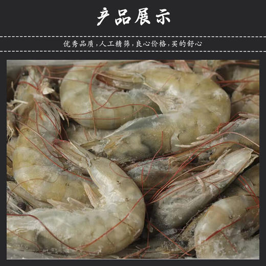 皇冠厄瓜多尔白虾1.8kg(20-30) 商品图4